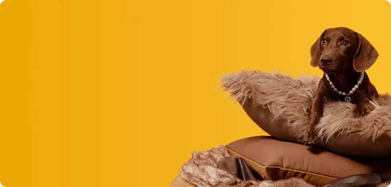 多渠道打法组合